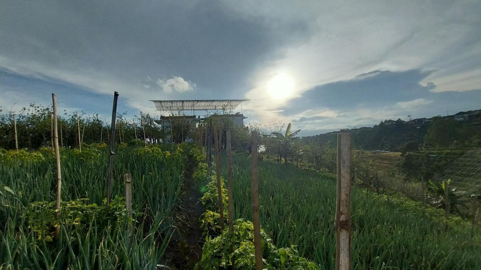 Maison Manendra - Bromo Malang Exterior photo